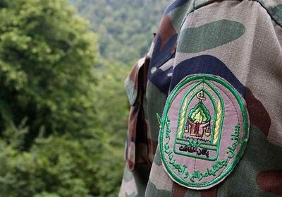  قاچاقچی چوب به جنگلبان چالوسی حمله مسلحانه کرد