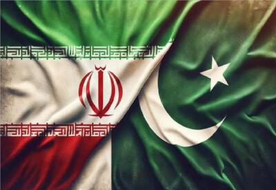  وزیر کشور پاکستان به‌زودی به تهران سفر می‌کند - همدلی