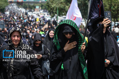  جا مانده‌ام اما اذن زیارت کربلا را گرفتم