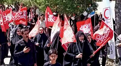 دلهایی که از راه دور به کربلا رسیدند + فیلم