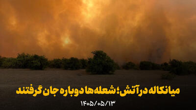  فیلم | میانکاله در آتش؛ شعله‌ها دوباره جان گرفتند