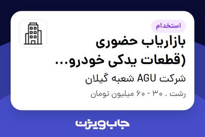 استخدام بازاریاب حضوری (قطعات یدکی خودرو AGU) در شرکت AGU شعبه گیلان