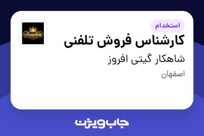  استخدام کارشناس فروش تلفنی - خانم در شاهکار گیتی افروز