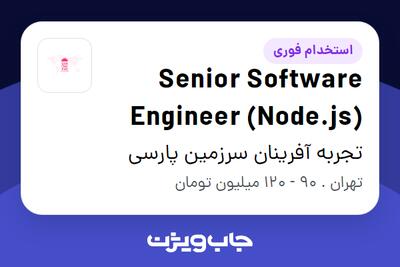 استخدام Senior Software Engineer (Node.js) در تجربه آفرینان سرزمین پارسی