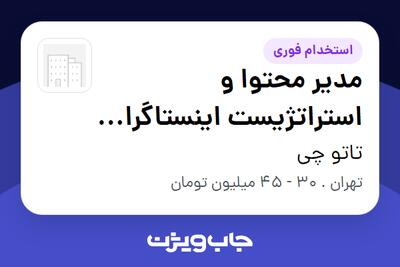  استخدام مدیر محتوا و استراتژیست اینستاگرام (لوازم تاتو) - خانم در تاتو چی