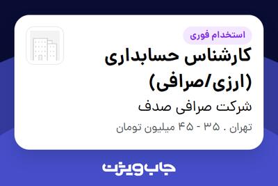 استخدام کارشناس حسابداری (ارزی/صرافی) - خانم در شرکت صرافی صدف