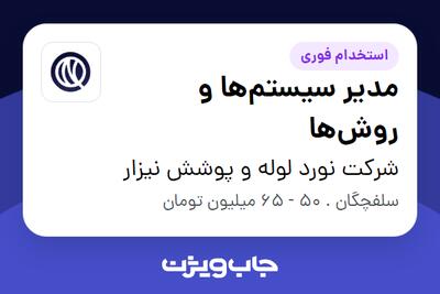  استخدام مدیر سیستم‌ها و روش‌ها - آقا در شرکت نورد لوله و پوشش نیزار