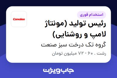 استخدام رئیس تولید (مونتاژ لامپ و روشنایی) در گروه تک درخت سبز صنعت