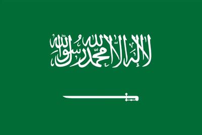  ادعای یک رسانه آمریکایی: عربستان در حال مذاکره با یمن است