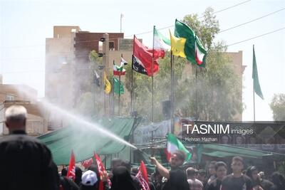  جاماندگان اربعین؛ روایت دلدادگانی که با پای دل به کربلا رفتند فیلم - تسنیم