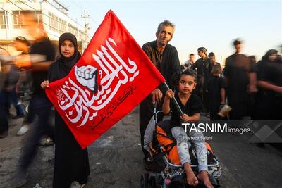 از نجف تا کربلا؛ روایت قدمهایی که با عشق امام حسین(ع) ادامه دارد فیلم - تسنیم