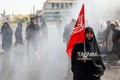  یادداشت|جاماندگانی که از کاروان حسینی جدا نیفتادند - تسنیم