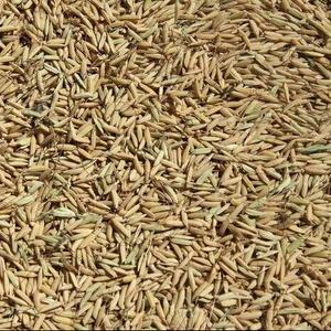 کشف ۵۰۰ تن نهاده دامی احتکار شده در کبودرآهنگ