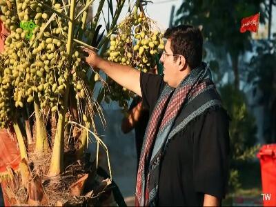  جناب مدرس گرما زده شده!