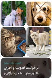 چرا ایران به قانون جامعِ «مقابله با حیوانآزاری» نیاز دارد؟