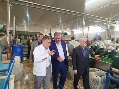  واحدهای تولیدی صادرات‌محور، سرمایه‌های ملی هستند/ از تولیدات باکیفیت حمایت می‌کنیم
