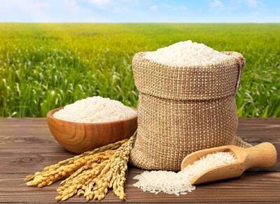 قیمت طارم هاشمی و دم سیاه گیلان چقدر شد؟ - اکونیوز