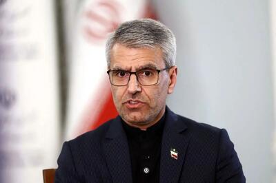 بقائی: برنامهای برای سفر عراقچی و قالیباف به پاکستان یا قطر نیست / بیانیه مشترک ایران و عمان در مرحله بررسی و تدوین نهایی است