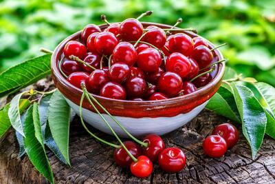 خواص آلبالو برای بدن؛ از خواب بهتر تا تقویت ایمنی