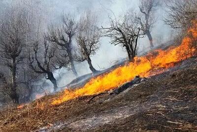 مهار آتشسوزی در زیستگاههای طبیعی ارتفاعات سرکش شهرستان گیلانغرب