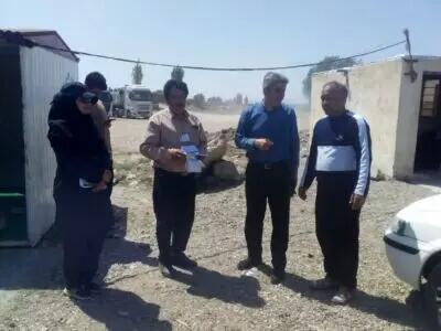  تلاش جهاد کشاورزی نمین برای تسهیل فروش گندم دیم در روستای دولت‌آباد