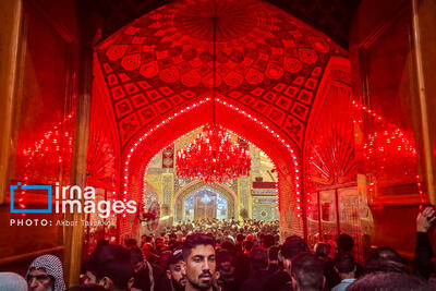  آستان مقدس علوی: ۱۷ میلیون و ۵۰۰ هزار زائر از نجف به کربلا رفتند