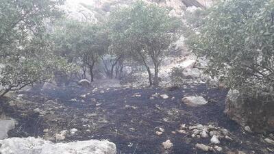 آتشسوزی ارتفاعات سرکش گیلانغرب مهار شد
