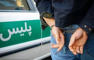  دستگیری ۲ سارق سابقه‌دار در شاهرود و دامغان