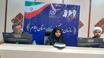 انتقاد نماینده ایلام از تعلل وزارت نیرو در پروژه سامانه گرمسیری