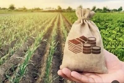 پرداخت بیش از ۴۰۰۰ میلیارد ریال غرامت بیمه به بهرهبرداران کشاورزی خراسان شمالی
