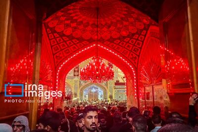  آستان مقدس علوی: ۱۷ میلیون و ۵۰۰ هزار زائر از نجف به کربلا رفتند