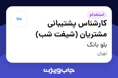 استخدام کارشناس پشتیبانی مشتریان (شیفت شب) در بلو بانک