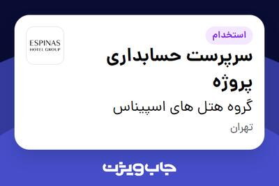  استخدام سرپرست حسابداری پروژه - آقا در گروه هتل های اسپیناس