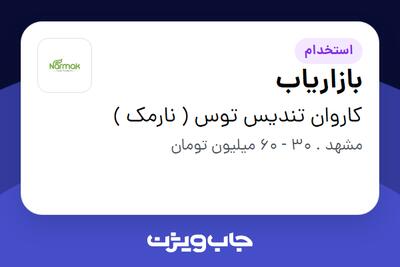  استخدام بازاریاب در کاروان تندیس توس ( نارمک )
