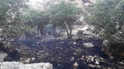 آتشسوزی ارتفاعات سرکش گیلانغرب مهار شد