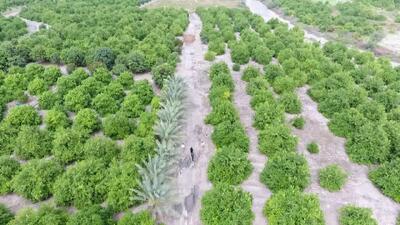  بررسی مشکلات آب و برق باغداران رودان
