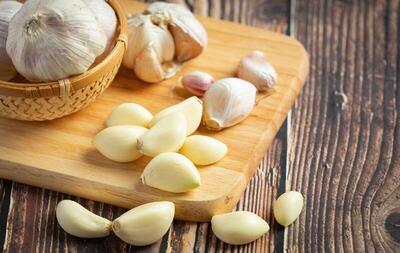  اینفوگرافیک؛ برداشت ۱۸ هزار تُن سیر از مزارع آذربایجان‌شرقی