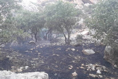 مهار کامل آتشسوزی در ارتفاعات سرکش گیلانغرب