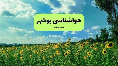  پیش بینی وضعیت آب و هوا بوشهر فردا پنجشنبه ۱۵ مرداد