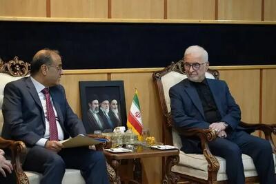 سفیر جدید پاکستان با وزیر کشورمان دیدار کرد - سلام نو