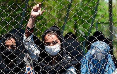  از نان‌آوری تا بقا؛ چگونه زنان افغان برای زنده نگه داشتن اقتصاد خانواده می‌جنگند؟/ گزارش شفقنا افغانستان