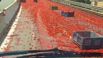 یک کامیون، بار گوجه فرنگی را در بزرگراهی در ایتالیا به زمین ریخت و ترافیک را فلج کرد