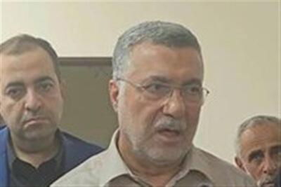 ظفرقندی: پروژههای نیمهتمام درمانی استان بوشهر ساماندهی میشود - تسنیم