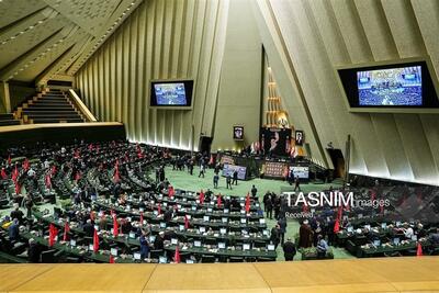  هشدار فراکسیون کارگری: پرداخت مستقیم، جایگزین حذف واسطه‌ها نیست - تسنیم