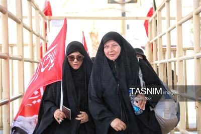  3 میلیون و 450 هزار ‌زائر به کربلا مشرف شد‌ند/‌ حادثه امنیتی نداشتیم - تسنیم