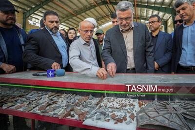  جزییات سفر وزیر بهداشت به جنوب کشور