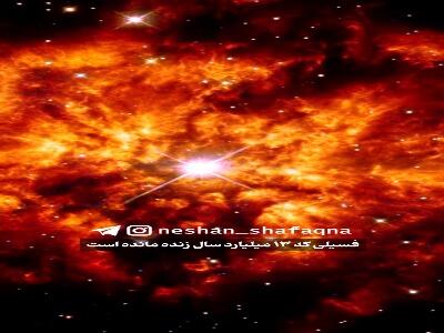  فسیلی که ۱۳ میلیارد سال زنده مانده است