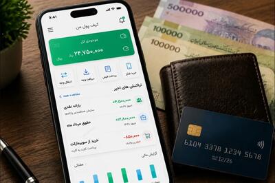 جزئیات راه اندازی کیف پول الکترونیک از زبان مدیرکل نظام های پرداخت بانک مرکزی