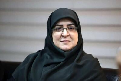 مهاجرانی از راز پیشرفت کشور گفت؛ مشروطه چه درسی برای امروز دارد؟ / سخنگوی دولت: وقتی کنار هم باشیم میتوانیم جلو برویم / بازخوانی یک تجربه تاریخی؛ مشروطه و نقش همگرایی در تغییرات بزرگ