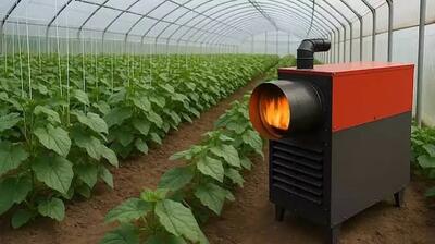  آمادگی بخش کشاورزی یزد برای تأمین سوخت جایگزین دامداری‌ها و گلخانه‌ها